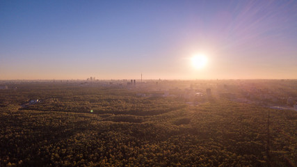 Scenic view of the sunset. Forest landscape against the background of the city