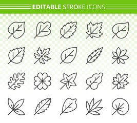 Organic Leaf simple black line icons vector set
