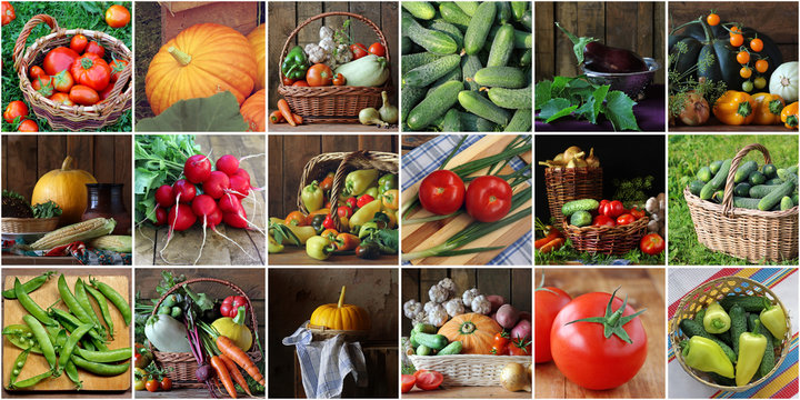 Collage with vegetables: set of square pictures. You can make a seamless pattern.