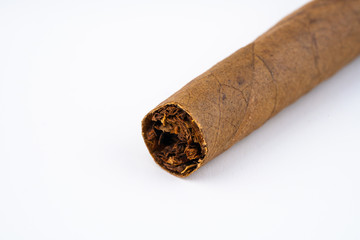 cigar on white background
