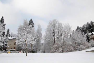 Fototapeta na wymiar Paesaggio invernale montano