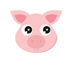beautiful flat illustration pig
