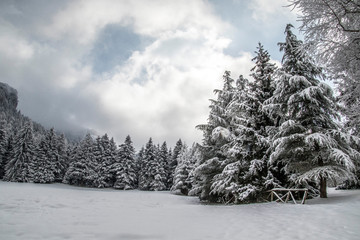 Paesaggio invernale montano