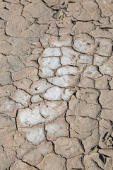 Dry, cracked earth in an arid area of California