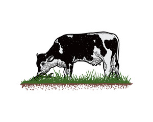 Hand Drawn Vector Cow Farm Eating the Grass Sign Symbol Company Logo Template Design Inspiration