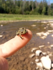hand with diamond ring