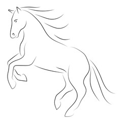 Vector black line horse on hind legs on white background.