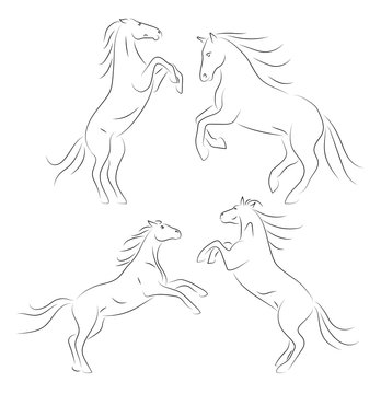 Beautiful black line horses on hind legs on white background. Set of vector graphic dynamic icons animal.