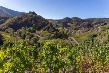 Blick auf Mayschoss vom Rotweinwanderweg im Herbst