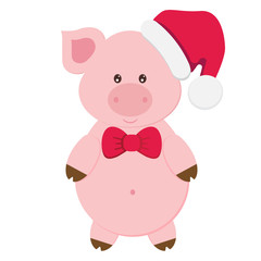 Funny pig illustration