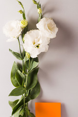 Invitation card. White flowers Lisianthus, eustoma with copy space. vertical.