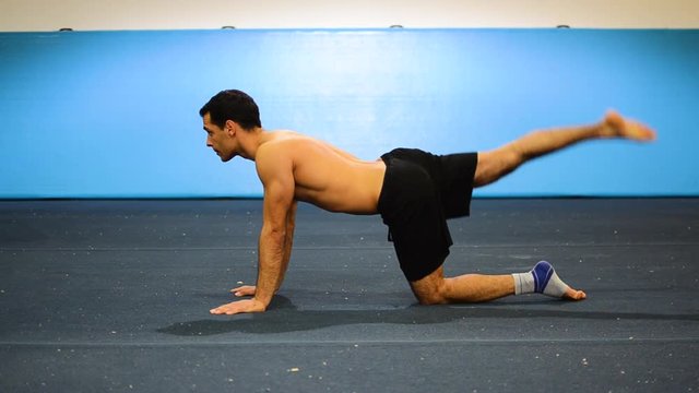 a still shot from a side view of a guy doing leg raises on all six as a lower back strength exercise