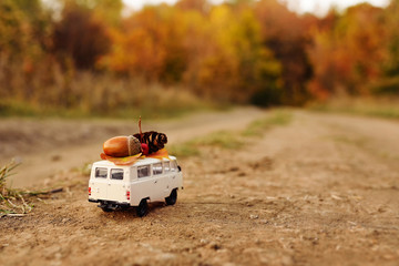 miniature toy car minivan carries on the roof yellow leaves, acorn, cone and red berries on the...