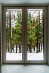winter landscape  in the window