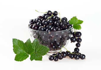 Black currant berries in a glass cup on a white background.