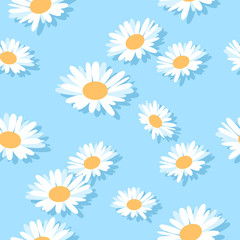 Fototapeta premium Seamless background with daisy flowers