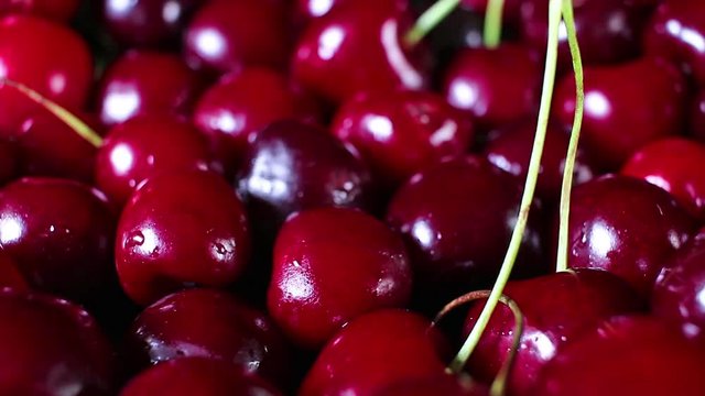 Dark red sweet cherry cherries summer fruit