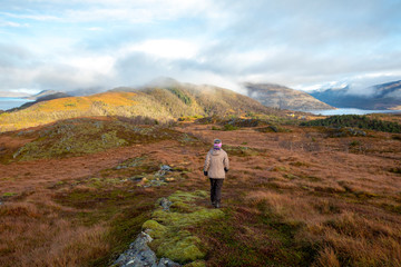 Fototapeta premium Wanderlust to Hjortheia mountain in Bronnoy municipality, autumn in Northern Norway 