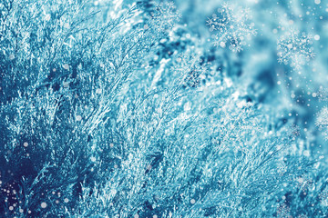 Christmas background with fir branches, glow, snowflakes and bokeh.