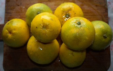 fresh oranges from the field