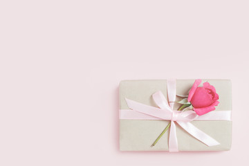 Gift box with rose on pink bacground.