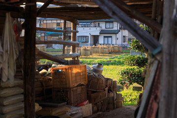 Fototapeta premium Equipment shed on small Japanese farm looking out onto rice from autumn harvest drying in sun