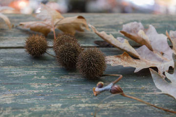 autumn leaves on the wood table, blur effect