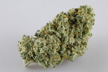 Cannabis closeup on white background