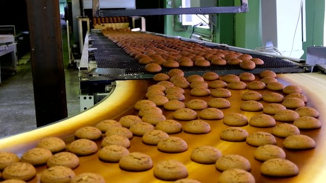 Production line of baking oat cookies. Biscuits on conveyor belt