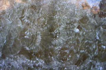 Marble stone background