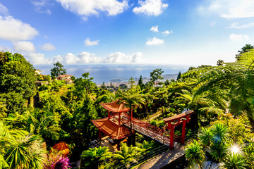 The Botanical Garden - Maderia