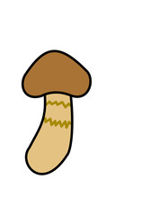松茸模様色(色)
