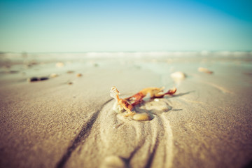 natural walpaper, sea and stones on sunny day