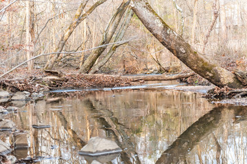 Sugarland Run Stream Valley Trail river water reflection in Herndon, Northern Virginia, Fairfax county in spring, nobody