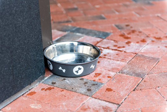 One Empty Dog Water Bowl Plate Outside Restaurant Store Shop In Urban City Street Corner On Sidewalk With Nobody Closeup