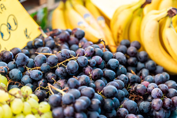 Macro closeup of fresh ripe green, yellow white and purple, red dark blue grapes, bananas in...