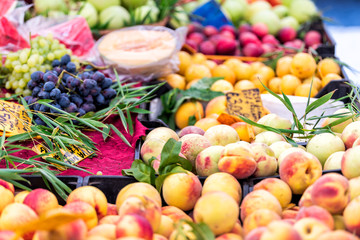 Fresh ripe, purple, orange and yellow apricots, peaches, oranges, red purple grapes in street farmer's market display in Italy during summer, colorful vibrant