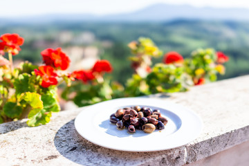 Closeup of kalamata olives on white plate on balcony terrace by red geranium flowers outside in Italy with mountain view in Greece or Tuscany