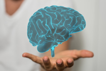 brain