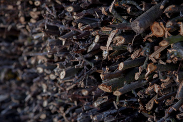 Small dried twigs bundled up together for feeding to light fire