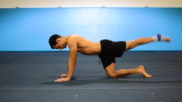 a still shot from a side view of a guy doing leg raises on all six as a lower back strength exercise