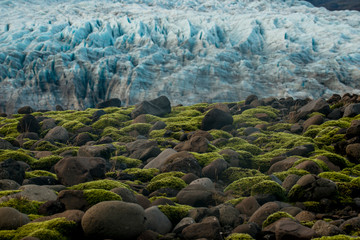tra muschi e ghiaccio