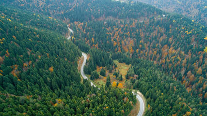 Scenic aerial view looking at a winging road in the middle of the colorful forest during fall season.