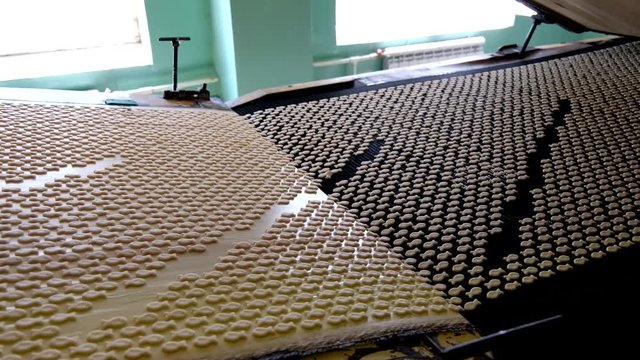 Automated production line of salt cracker cookies. Cookies on conveyor belt