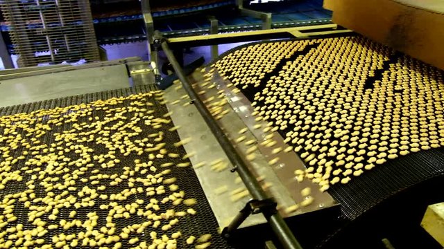 Automated production line of salt cracker cookies. Cookies on conveyor belt