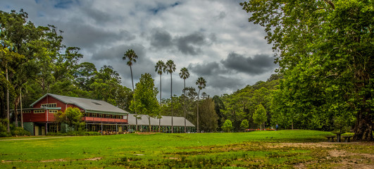 Obraz premium Royal National Park, NSW, Australia.