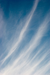 Fototapeta premium Blue sky with clouds