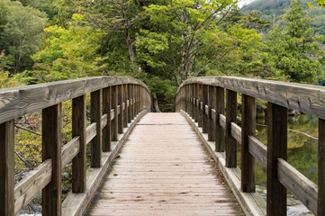 Fototapeta na wymiar 湯ノ湖　木製の橋　栃木県　日光市