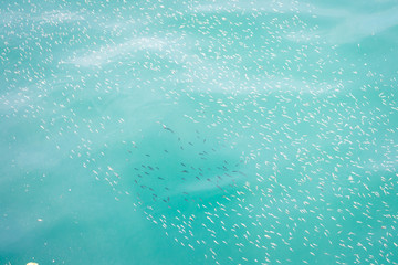 Houcima beach and waves and rocks