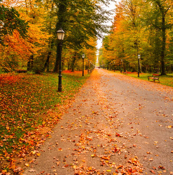 View of a footpath covered with colorful autumn leaves, lanterns and wooden benches in the famous Maksimir park in autumn in Zagreb, Croatia.